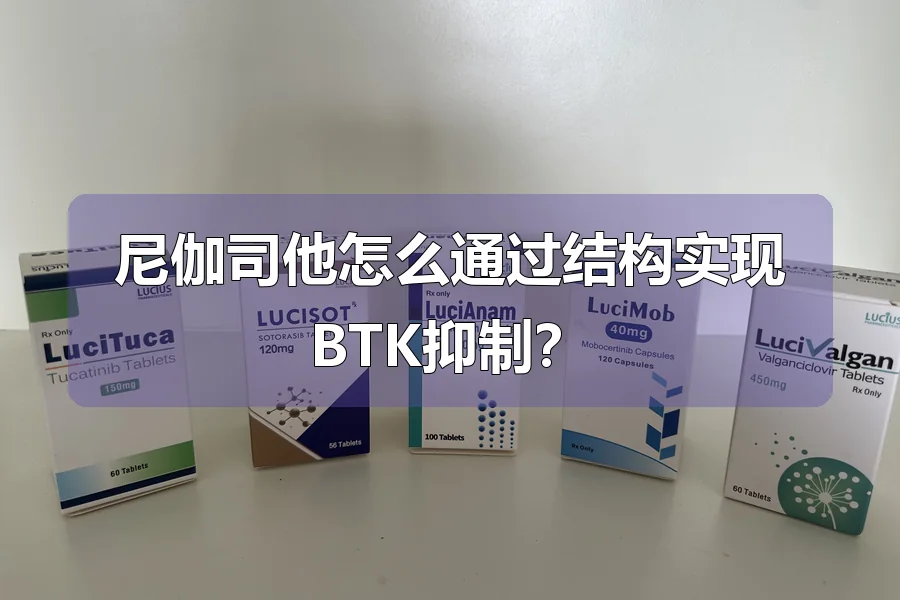 尼伽司他怎么通过结构实现BTK抑制?