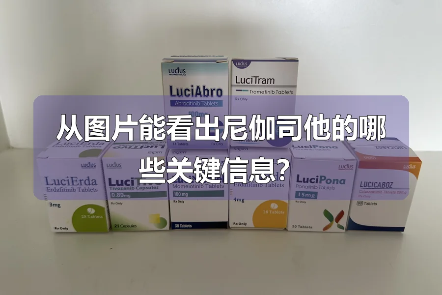 从图片能看出尼伽司他的哪些关键信息？